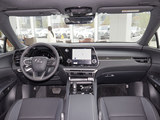 2025 ׿_˹RX 300 E