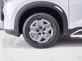 2024款 元UP 401KM 活力版