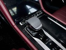 2025 tH5 PHEV 170 