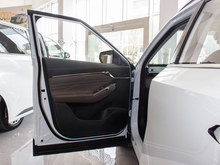2024 GS4 MAX 1.5T Ş