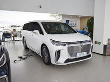 2025 D PHEV FHi