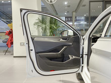 2025  200TSI DSGԽ